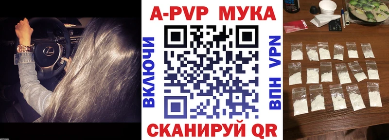 A PVP СК КРИС  что такое   ссылка на мегу ссылки  Аша 