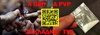 шишки Аргун