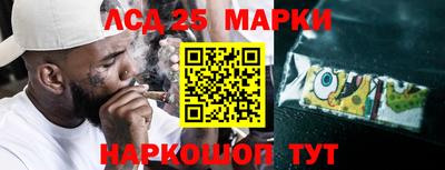 прущие грибы Апшеронск