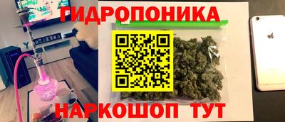 шишки Аргун