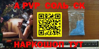 шишки Аргун