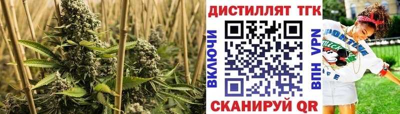 Дистиллят ТГК гашишное масло наркошоп KRAKEN Аша