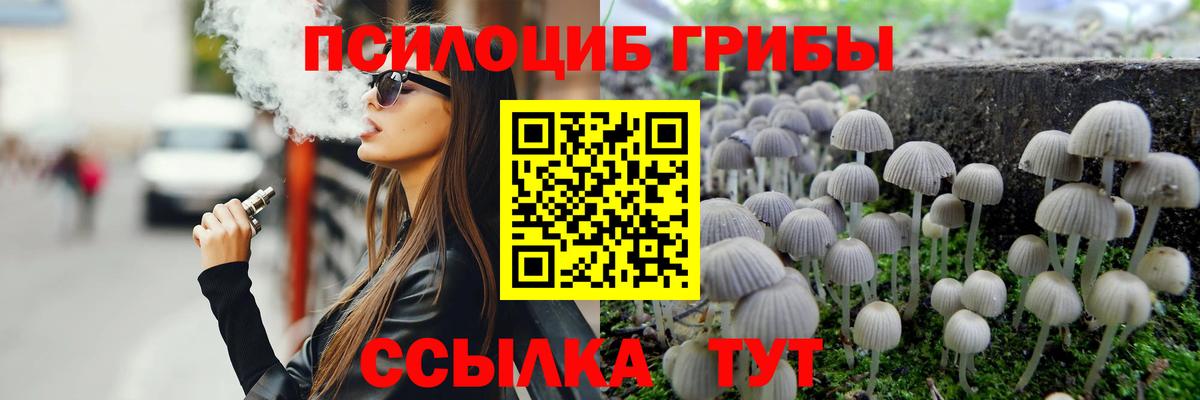 Галлюциногенные грибы Psilocybine cubensis Аша