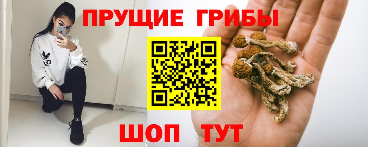 Аша  Псилоцибиновые грибы Magic Shrooms  Вход с VPN 
