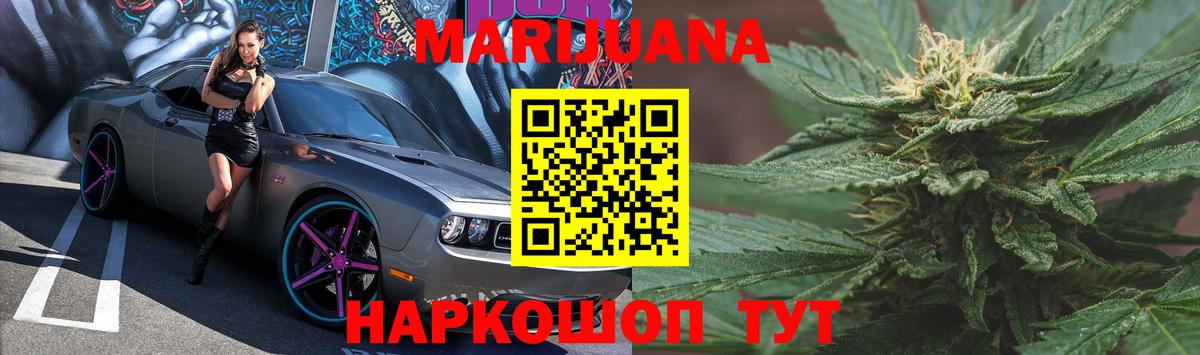 Шишки марихуана семена  Аша  Шишки марихуана план 